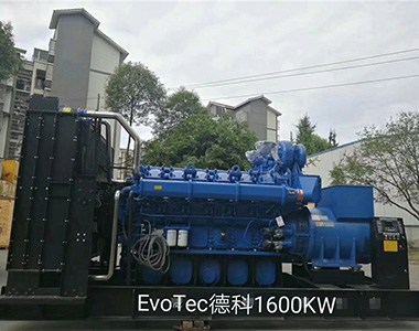 德科1600KW/400V陸用發(fā)電機(jī)應(yīng)用于某工廠項(xiàng)目